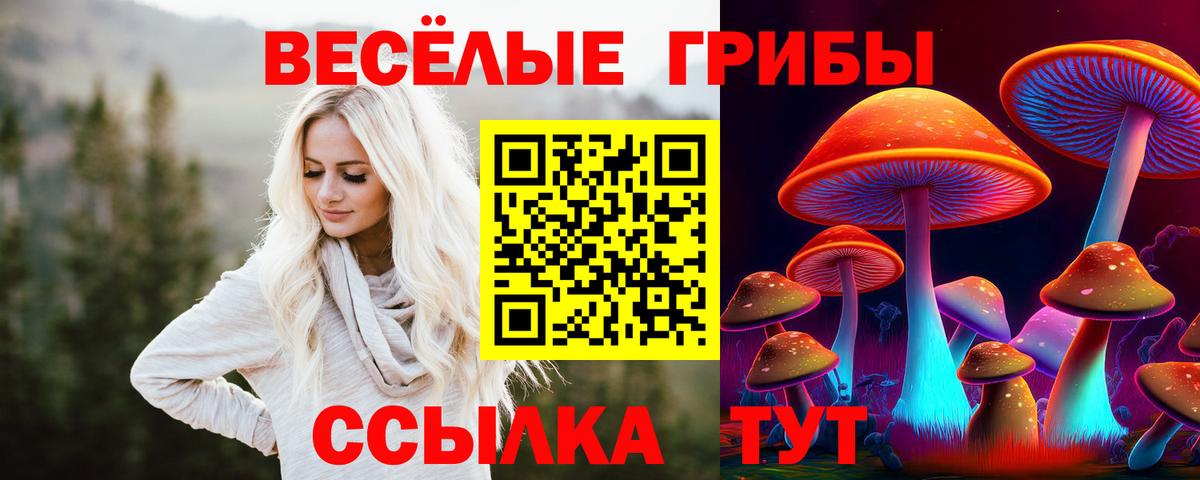 Крымск  Галлюциногенные грибы мухоморы  купить наркотики цена  Вход с VPN 