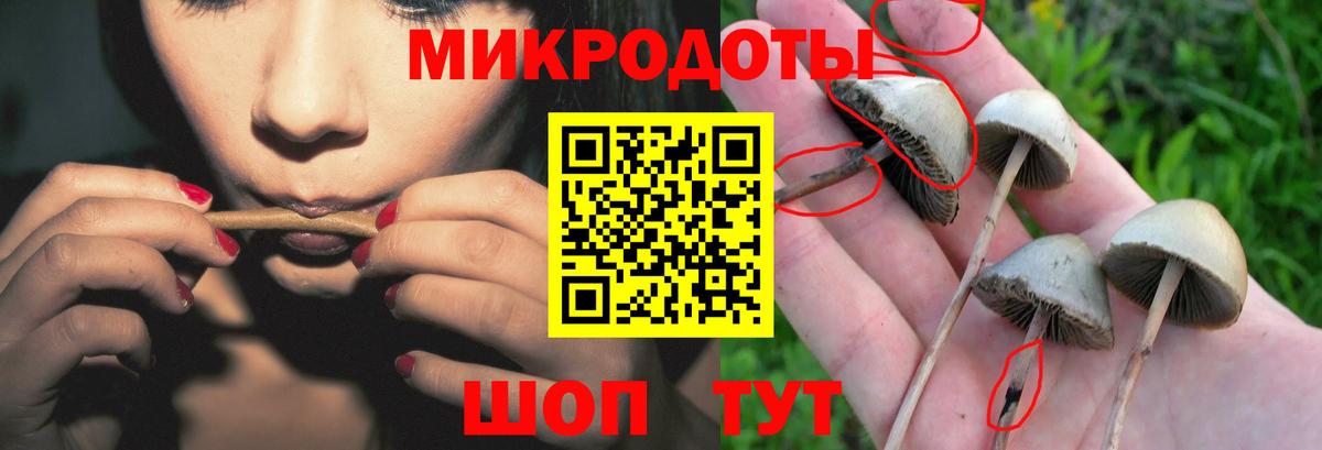 Галлюциногенные грибы GOLDEN TEACHER Крымск